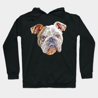 English Bulldog Face Hoodie